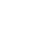 Icon Fuel