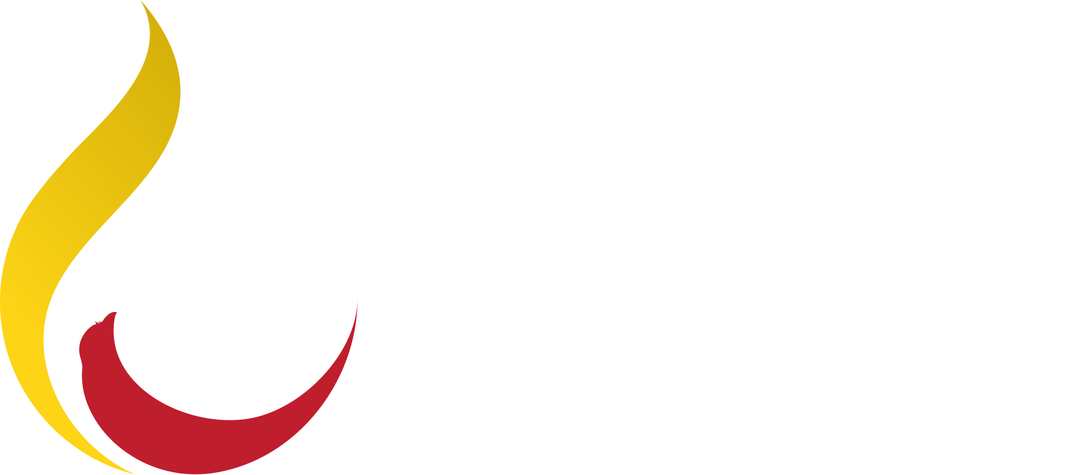 Logo Footer